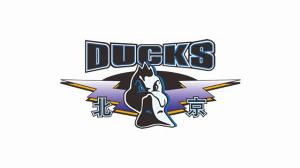 直播吧：北京首鋼男籃新賽季的主場有望回歸五棵松