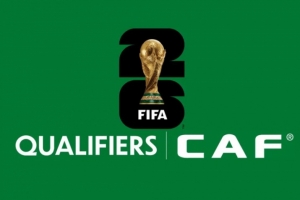 世預(yù)賽非洲區(qū)附加賽：尼日利亞對加蓬，喀麥隆對民主剛果