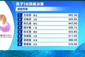 全運(yùn)會(huì)跳水男子1米板決賽：王宗源總分492.3分?jǐn)孬@冠軍