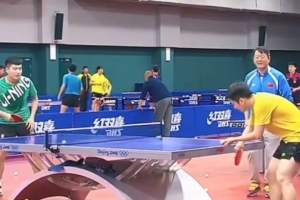 教練：樊振東去德甲后學習反手體系，在全運會反手發(fā)搶學而致用