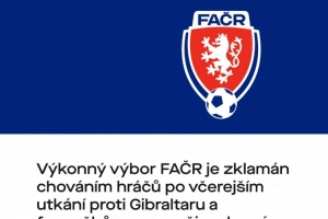 捷克足協(xié)向球迷致歉：紹切克將不再任隊(duì)長，球員們也不會獲得獎金