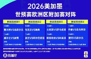 鏡報(bào)：愛爾蘭僅獲不到1000張世預(yù)賽附加賽門票，賽前機(jī)票售罄
