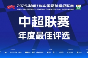 中超賽季最佳球員候選：瓦科、王鈺棟、萊昂納多在列，無克雷桑