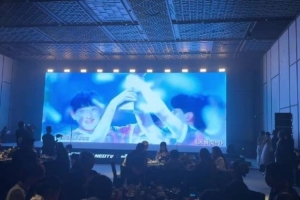 起飛?無(wú)畏契約獲2025福布斯中國(guó)卓越電競(jìng)游戲獎(jiǎng)！