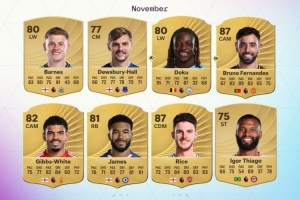 英超11月最佳球員候選：多庫、B費、里斯·詹姆斯、賴斯在列