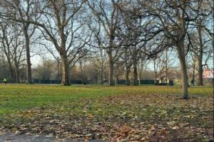 此為何意？薩拉赫更新社媒，曬落葉景色圖