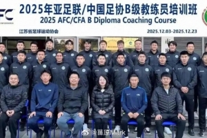 苗原：楊博宇參加教練員培訓(xùn)班，他被懷疑會上第二批禁足名單